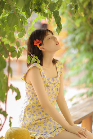 大唐女法医电视剧免费观看