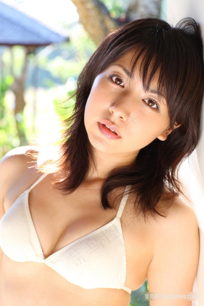 免费一级A毛片在线播不卡