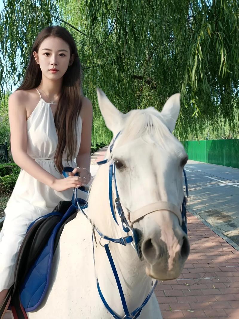 6080理论欧美三级理论