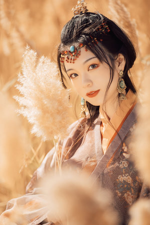 免费av片在线观看