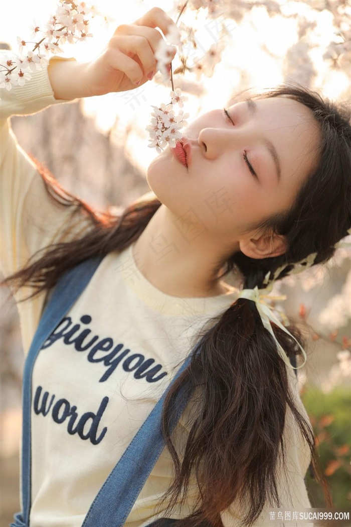 哪里能看金瓶梅