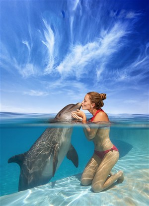 邻居的姐姐电影