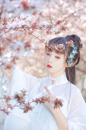 朱门绣户红烧肉