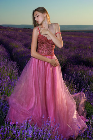 两世欢网络看全集