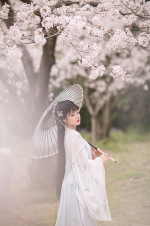 2020阿v天堂网手机版